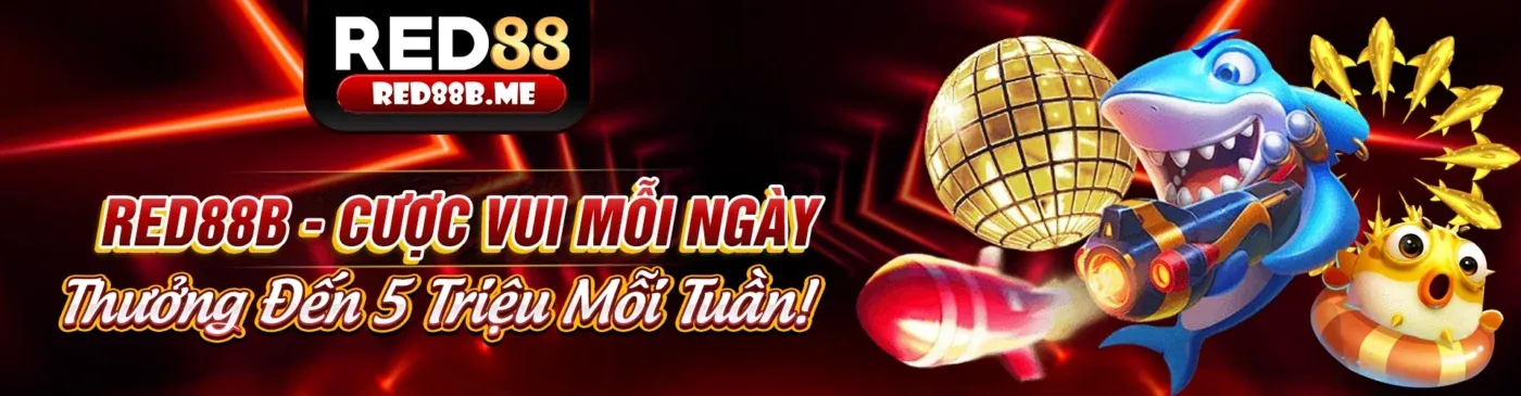 Ứng dụng neww88 win trên điện thoại