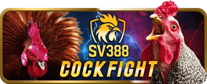 Các chương trình khuyến mãi và ưu đãi độc quyền của Neww88 Win